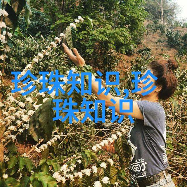 你知道海螺珍珠吗
