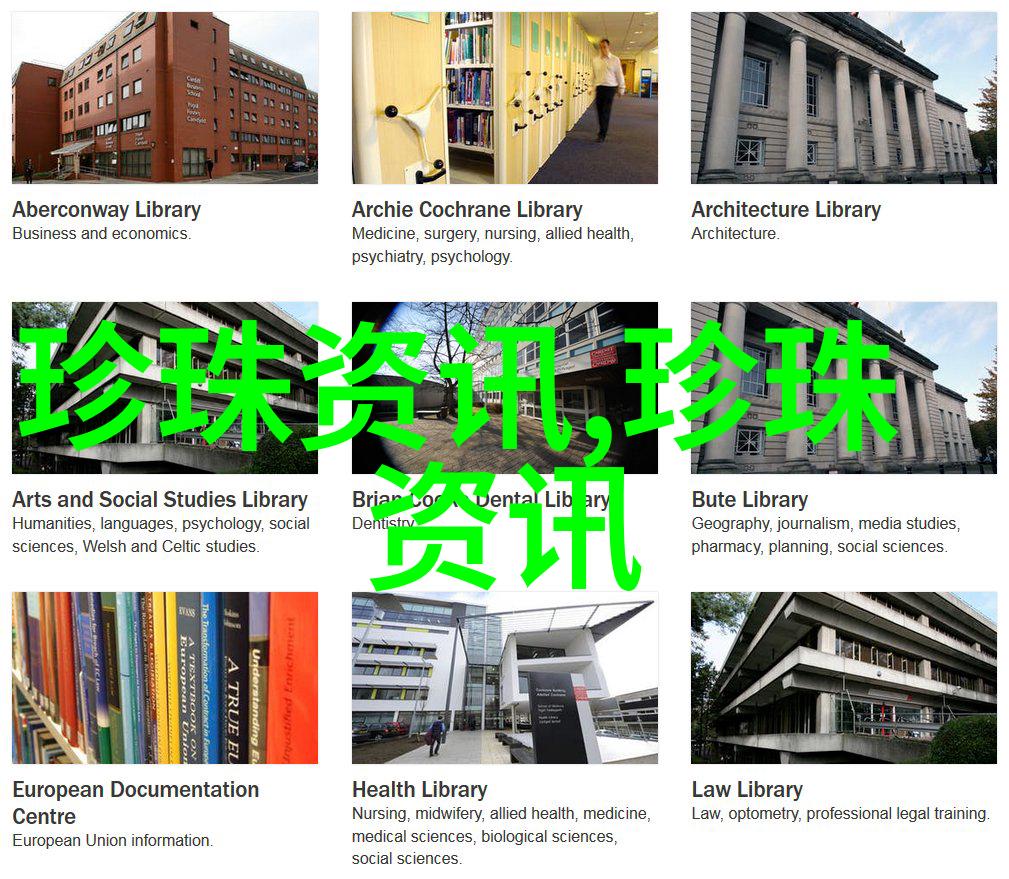 北京慧辰资道资讯股份有限公司 关于副董事长辞职暨选举副董事长 并调整专门委员会委员的公告